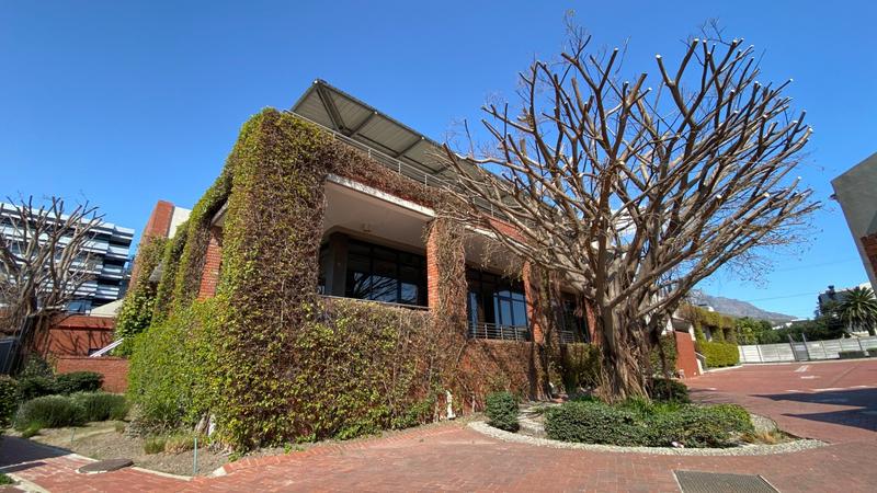To Let commercial Property for Rent in Observatory Western Cape